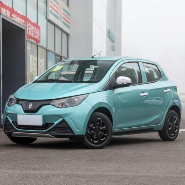 Exclusive Interiors Small Electric Car EV2 Max. Speed 100 Km/h High Performance
