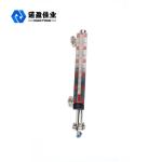 Industrial Glass Magnetic Level Meter 0.5% Accuracy 12VDC