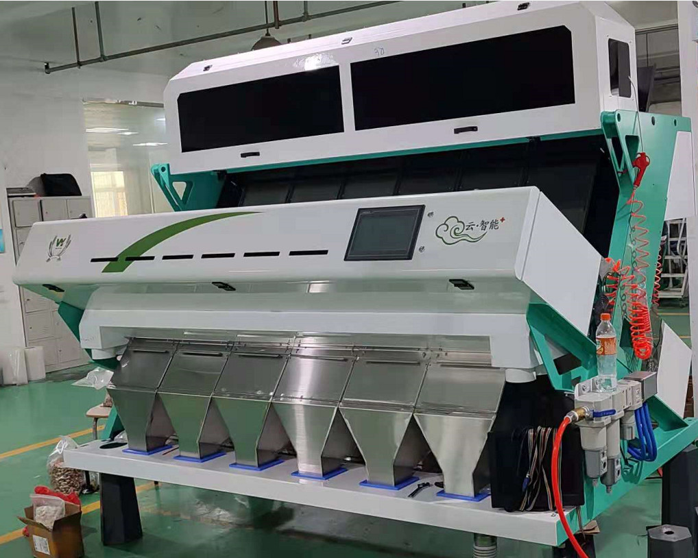 Buckwheat / Barley CCD System Color Sorter Garlic Cloves Color Sorting Machine
