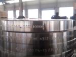 Weld Neck Stainless Steel Pipe Flanges DIN 2527 PN10 AISI 304/L