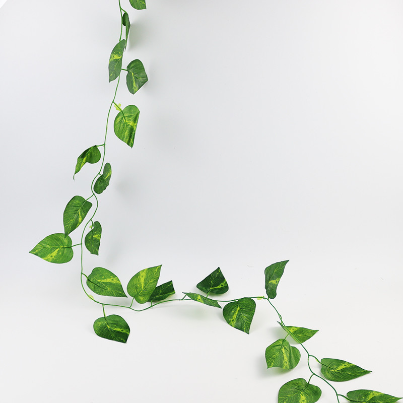 fake ivy leaf plants