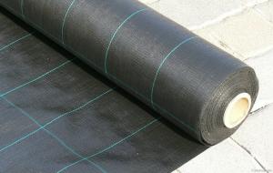 Wholesale Polypropylene Woven Plastic Ground Cover , 4.2x100m 100gsm Black Garden Fabric from china suppliers