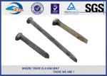 Carbon Steel Rail Dog Spikes Iron Fence Spikes DIN Standard