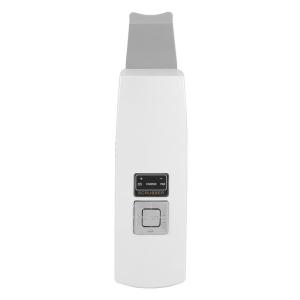 Wholesale 100 V - 240 V Home Facial Device , BF1203 Good Ultrasound Skin Scrubber from china suppliers