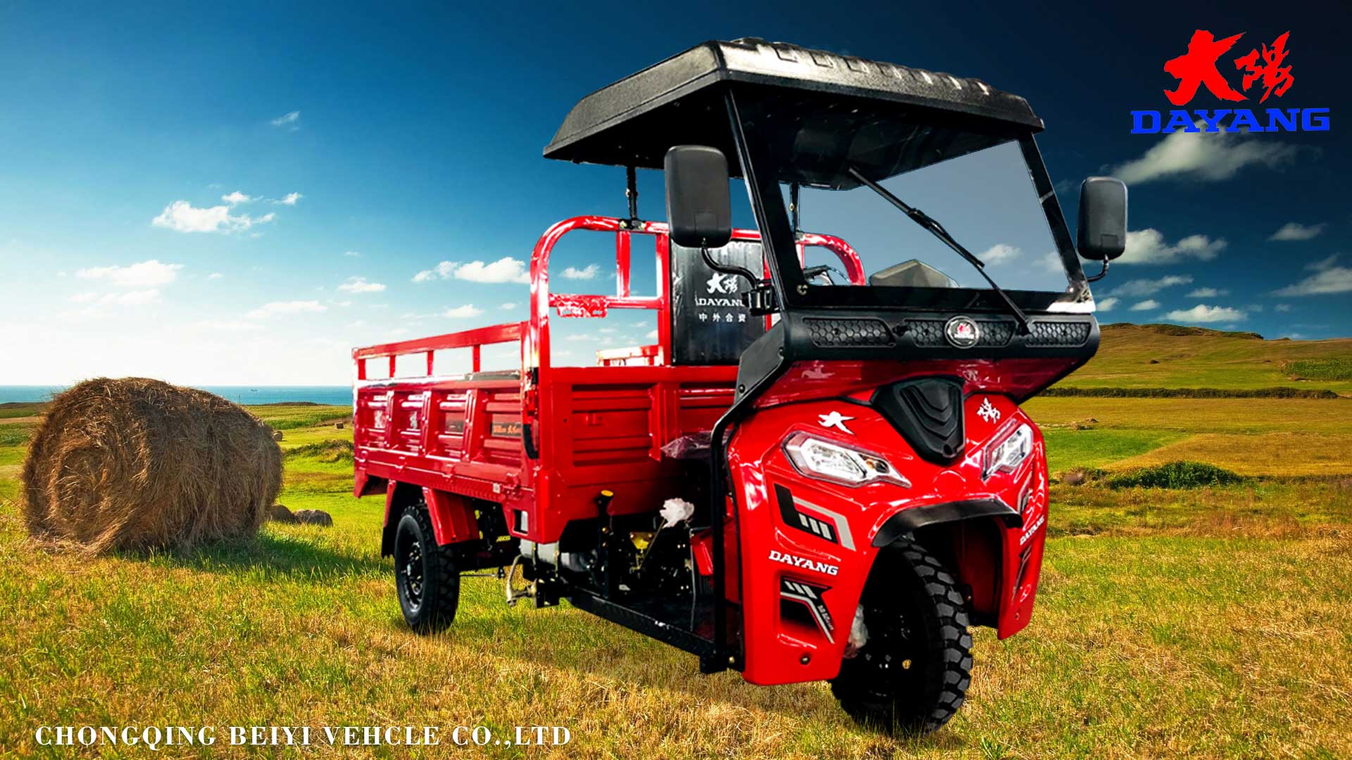 Dayang 1500 kg Three Wheel Petrol Trike Motorized Motorcycle with Cistern Cargo For Cargo