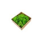 Events Decoration Fake Moss Decor Natural Touch Wall Decoration