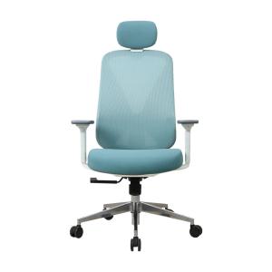 Wholesale Blue ergo task office chair Nylon Ergo Executive Mesh Chair from china suppliers