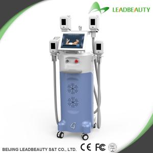 Wholesale Fat freeze Kryolipolysis slimming machine hot sale in Germany from china suppliers