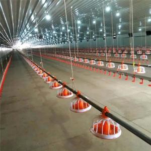 Wholesale Stainless Automatic Broiler Feeding System 50Kg Feed Hopper For Poultry from china suppliers
