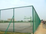 Outdoor PVC Black Vinyl Coated Cyclone Iron Wire Mesh Metal Fence 8 ft Chain