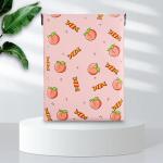 10×13 Inch Mailer Envelope Bags PE Biodegradable Shipping Bags