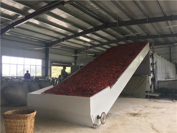 Chili Chrysanthemum Cassava Drying Belt Conveyor Dryer Machine