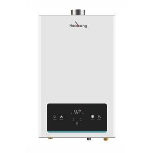 Wholesale 220V 10L 16KW Constant Temperature Gas Water Heater White Homeland from china suppliers