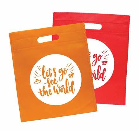 Customized Logo Brand Printing Non Woven Reusable Gift Bag Shopping Bags Retail Shopping