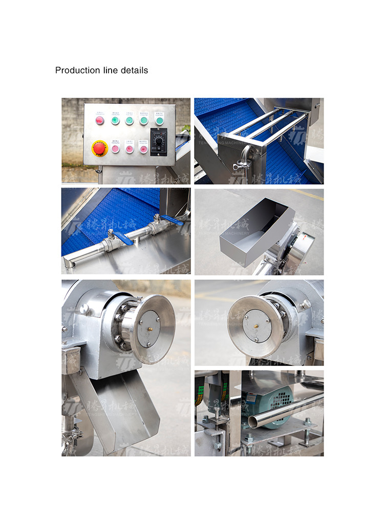Pears Oranges Papaya Fruit Juice Processing Line Ozone Disinfection
