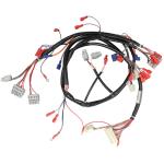 New Energy Vehicle Automotive Wiring Harness One Point To More connector Cable