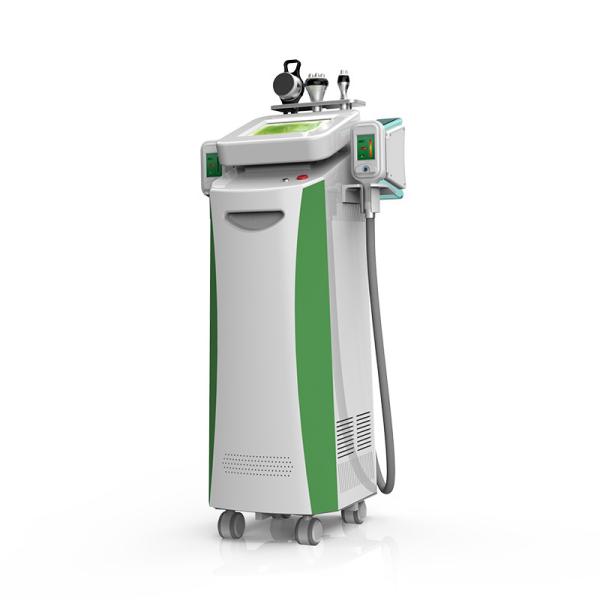 5 Handles vacuum fat cellulite reduction cryolipolysis fat freezing machines for