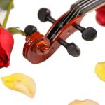 Wholesale oil violin master handmade flame Best Quality with price Finding