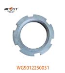 Picture Display WG9012250031 Heavy Truck Nut for Sinotruk Howo Truck