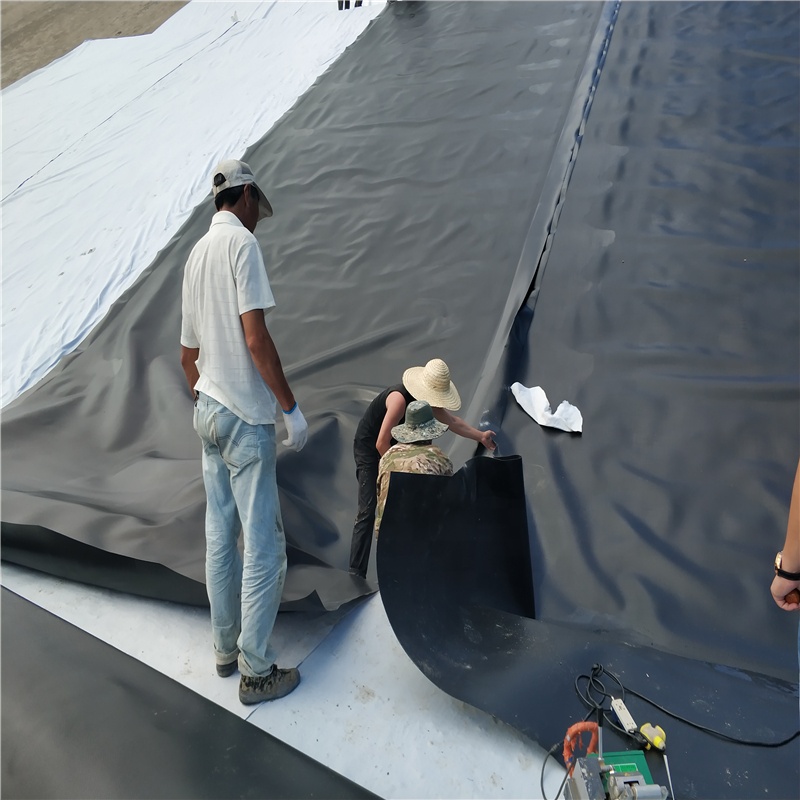 Length 50m-200m/roll Geomembrane HDPE 0.75mm 1mm Dam Liner Fish Farm Pond Liner HDPE