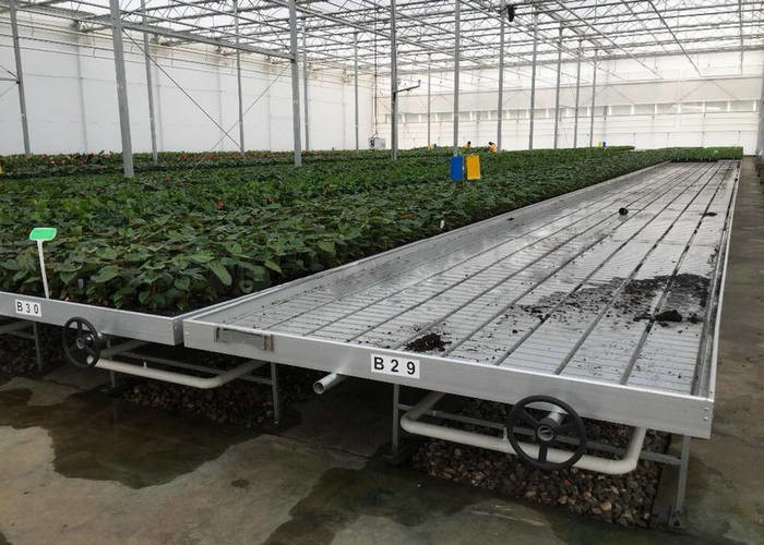 9.6m 10.8m 12m span venlo prefab glass greenhouse indoor for vegetable hydroponic