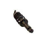 Audi R8 Front Air Suspension Shock Absorber 420412019AG 420412020AG