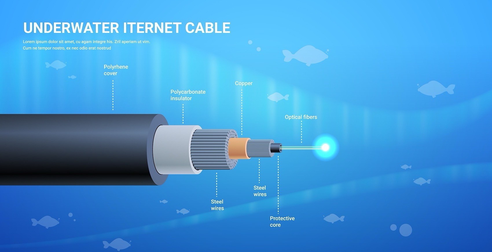 Submersible Cable 24 32 36 48 72 96 144 Cores G652D SM Underwater Submarine Optical Cable GYTA33