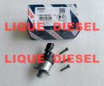 BOSCH valve 1465ZS0071 0928400689 1 465 ZS0 071 0 928 400 689