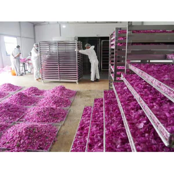 Vacuum Oven Food Drying Machine Electric Heating Low Temperature For Food / Medicine