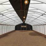 Agricultural Single Span Film Hydroponic Tunnel Auto Light Dep Solutions