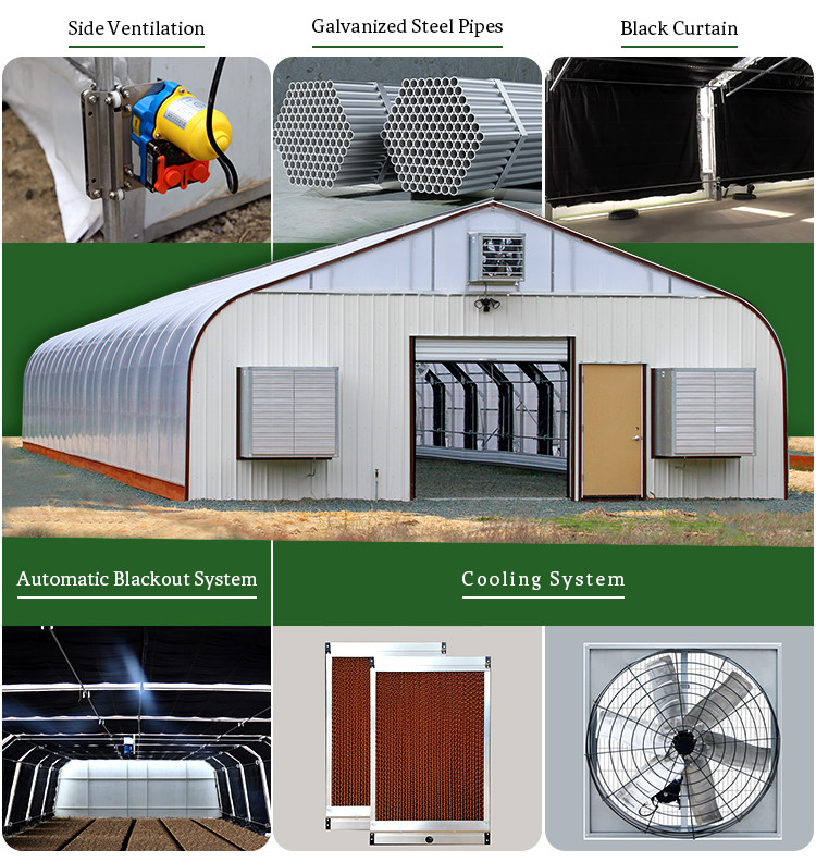 Agricultural Tunnel Fully Automated Light Deprivation Greenhouse Single-span Blackout Greenhouse
