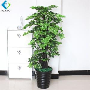 Wholesale Solid Wood Trunk Artificial Magnolia Tree In Pot For Indoor Decoration from china suppliers