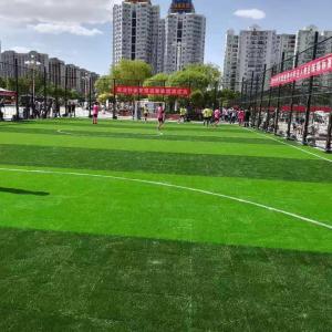 Wholesale PE PP Material Synthetic Artificial Grass For Soccer School Training from china suppliers