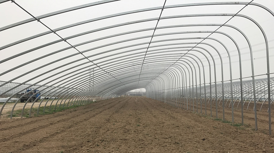 Optimal Plant Cultivation Tunnel Greenhouse Covered with 150/200micro PO Film