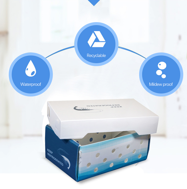 Okra Folding PP Carton Box Correx Storage Corrugated PP Box