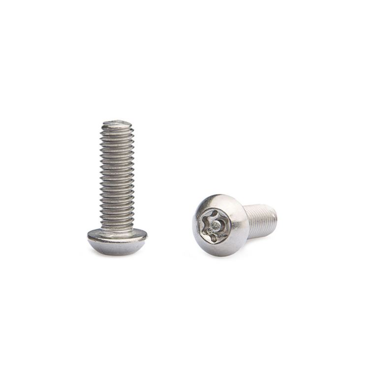 Anti-Theft Torx Pin Screw Made of SS304 Steel for Maximum Protection and Customized
