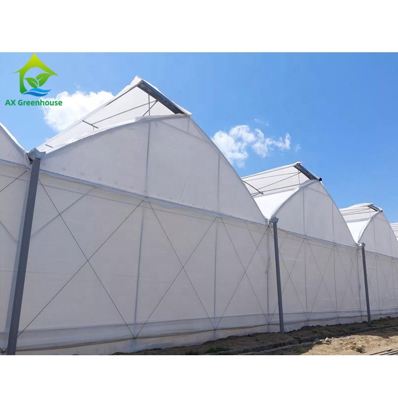 Agricultural Polyhouse Multi-span Plastic UV Film Greenhouse Drying House For Flowers