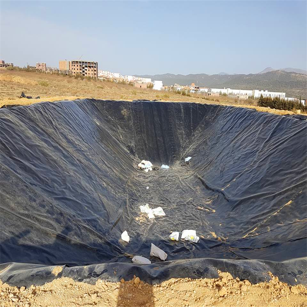 Rough Surface HDPE Geomembrane for Anti-Seepage Pile Protection Solutions