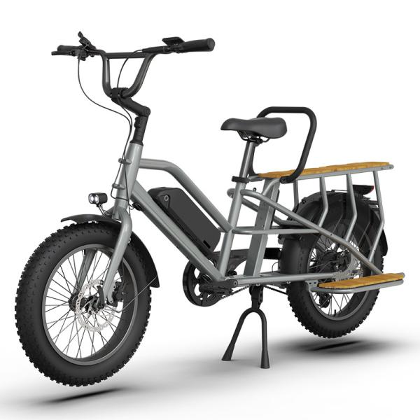 7 Speed Aluminum Alloy Frame Electric Delivery Bike for Family Dual Battery Fat