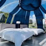 Outdoor sun room scenic PC star room Outdoor camping tent transparent bubble
