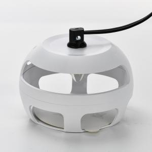Wholesale Home Safe Killer Lamp Sticky Flea Trap Solid State No Fragrance for Market from china suppliers
