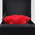 Ecuador Eternal rose luxury gift 10cm preserved rose in Velvet box preserved