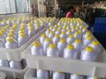 Factory Supply Polyester Embroidery Machine Sewing Thread 750D/2