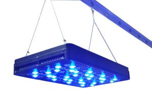 Wholesale garden led plant lighting, Full Spetrum LED Grow Light for Flowering Veg ,growing plants from china suppliers