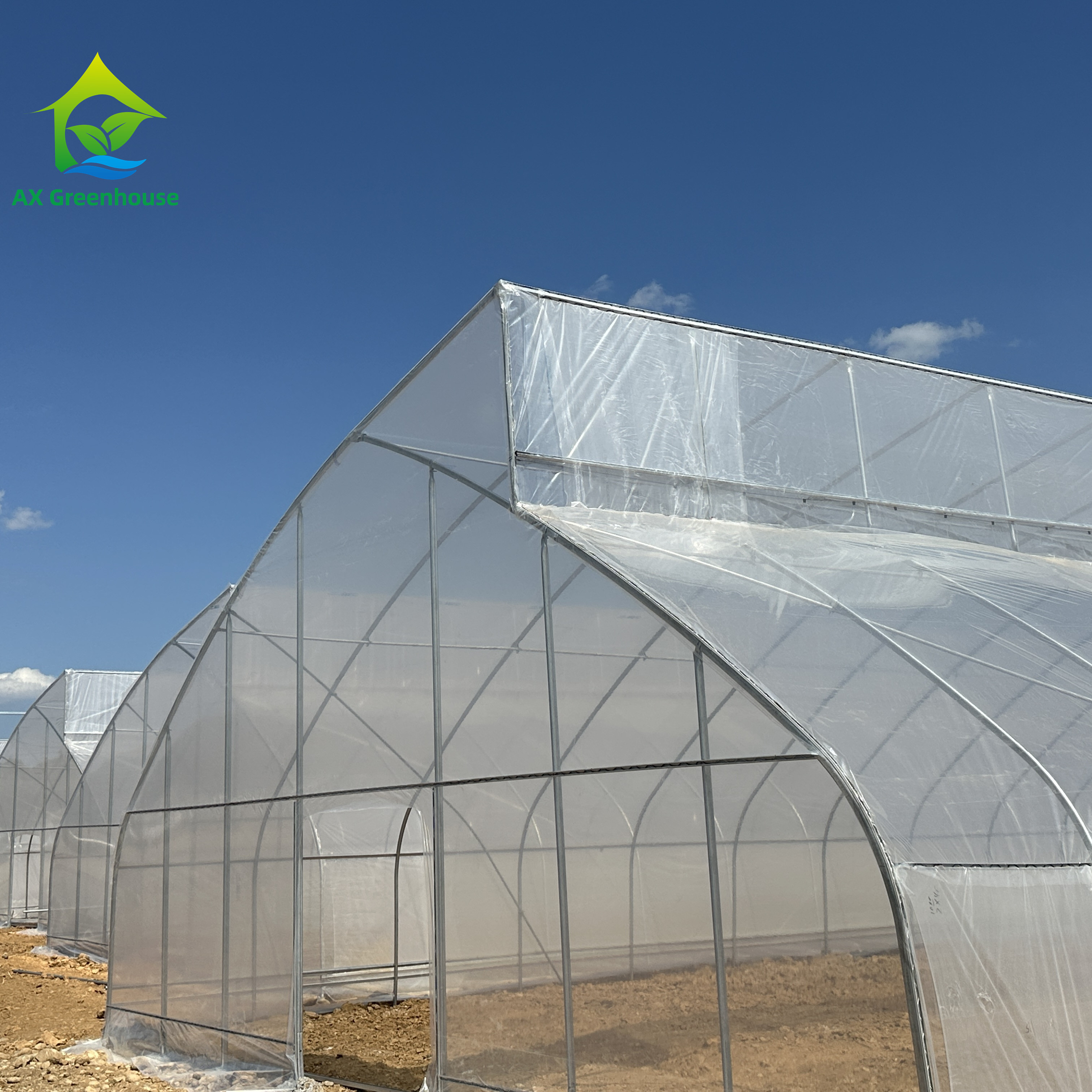 Commercial Metal Frame Agriculture Plastic Film Greenhouse With Hydroponic System