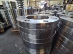Petroleum 900LB Carbon Steel Flange Raised Face