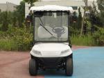 Customized Utility Electric Cargo Golf Cart 60V 48 volt