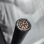 Instrumentation Cable 300/500V 20Cores CU/MGT/XLPE/OS/FR/LSZH/GSWA/LSZH 20х2,5