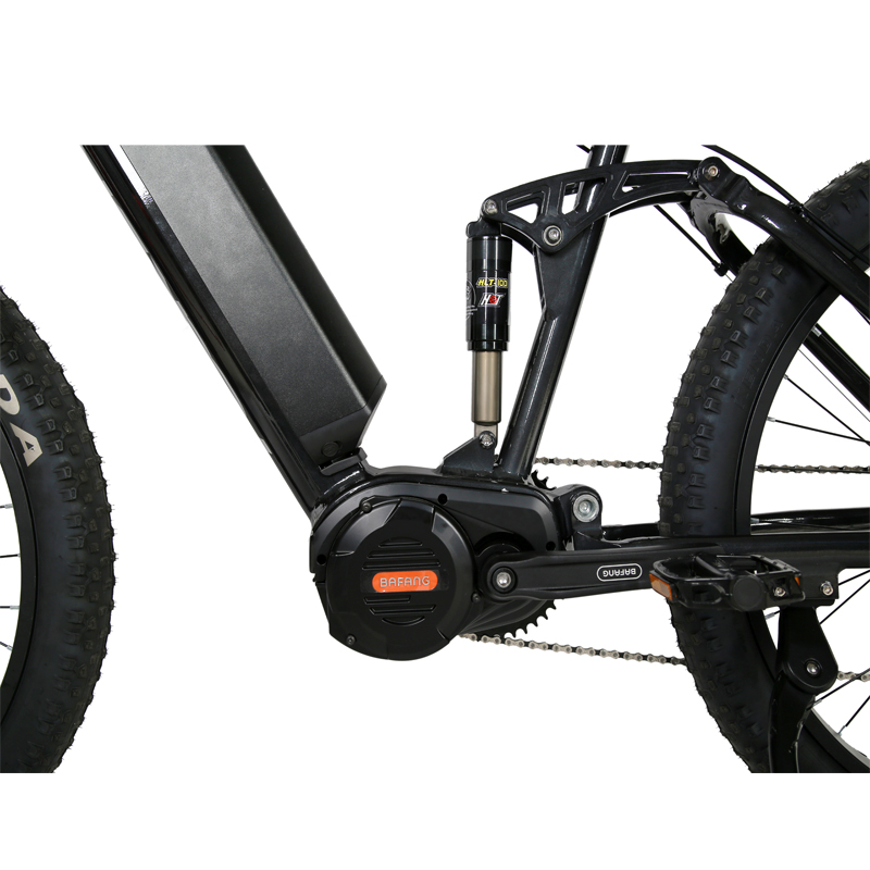 High Speed and Short Charging Time 2024 Customized Mid Drive Electric Mountain Bike