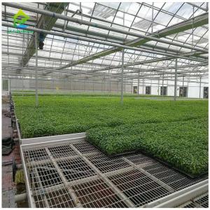Wholesale Seedbed Plant Nursery Equipment Movable Mesh Grow Table Vegetable Planting from china suppliers